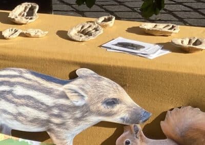 Tierspuren raten